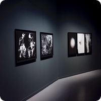 galeria_fotografica_publymarketing