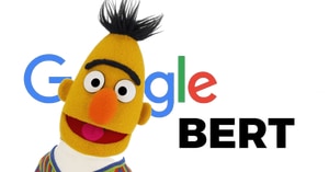 bert_publymarketing